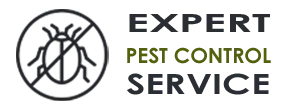 Expert Exterminator Co  Plantation FL